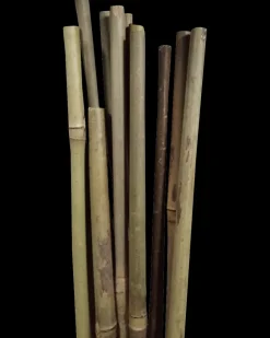 Best Bambuspinde 4-pak Planteartikler Og -Opbinding