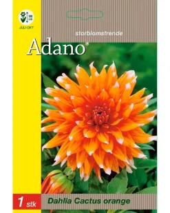 Blomsterløg assorterede varianter Frø Og Løg