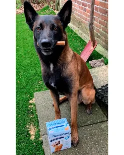 Outlet DentalCare sticks large 28-pak Hundefoder, Kattemad Og Godbidder