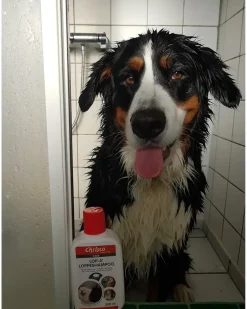 Discount Lop-A' loppeshampoo 200 ml Dyrepleje