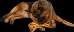 Discount Slagterben 1700-2000 g Hundefoder, Kattemad Og Godbidder