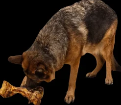 Discount Slagterben 1700-2000 g Hundefoder, Kattemad Og Godbidder