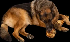 Discount Slagterben 1700-2000 g Hundefoder, Kattemad Og Godbidder
