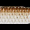 Clearance Kivik 14 g Sinking Tang Endegrej Og Madding