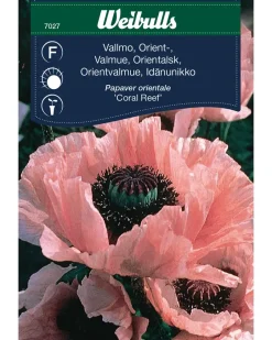 Hot Frøportioner assorterede - prisgruppe F Frø Og Løg