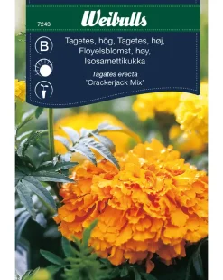 Discount Frøportioner assorterede - prisgruppe B Frø Og Løg