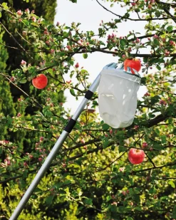 Outlet Frugtplukker med teleskopskaft Øvrige Haveartikler