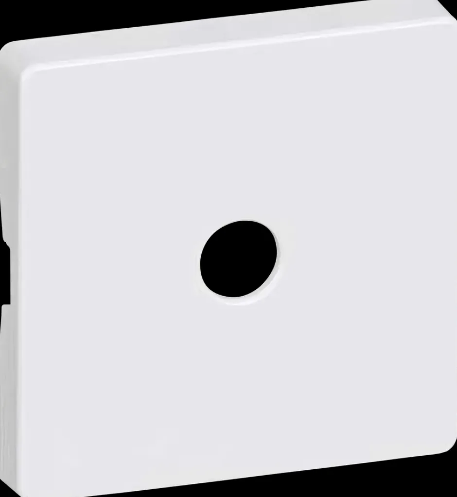 Online FUGA Dæksel lampeudtag 45 x 45 mm 5-pol - hvid Lampestik Og -Udtag|Dæksler Og Afdækning