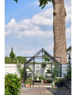Hot Drivhus Qube+ 88 med hærdet glas - sort Drivhuse