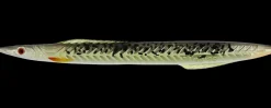 Hot Tobias Inline 18 g - Chartreuse Sandeel Endegrej Og Madding