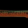 New Tobias Inline 18 g - Autumn Leaves Endegrej Og Madding