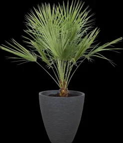 Krukke ribber antracitgrå Ø39 cm Potter, Krukker Og Plantemøbler