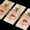 Outlet Museklapfælde 3-pak Mus- Og Rottefælder