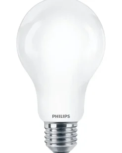 Online LED-pære 17,5W E27 A67 Led-Pærer