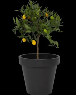 Hot Plantekrukke antracitgrå Ø40 cm Potter, Krukker Og Plantemøbler
