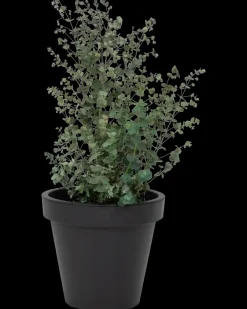 New Plantekrukke antracitgrå Ø30 cm Potter, Krukker Og Plantemøbler