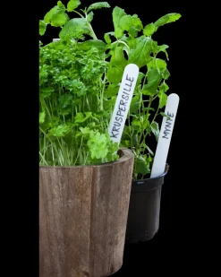 Outlet Plantemærke 15 cm 50-pak Planteartikler Og -Opbinding