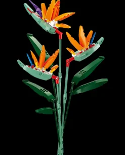 Clearance Flowers Paradisfugl M38-B1121C - 269 dele Byggeklodser