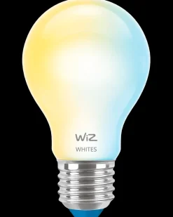 Clearance Smart LED-pære 7W E27 A60 Led-Pærer