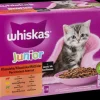 Ragout Junior 12 x 85 g Hundefoder, Kattemad Og Godbidder